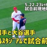 WBC 侍ジャパンの2人 大谷選手と吉田選手 エンゼルスタジアムで試合前挨拶 現地映像 エンゼルス Angels大谷翔平 Shohei Ohtani 吉田正尚 Masataka Yoshida