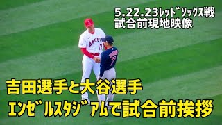 WBC 侍ジャパンの2人 大谷選手と吉田選手 エンゼルスタジアムで試合前挨拶 現地映像 エンゼルス Angels大谷翔平 Shohei Ohtani 吉田正尚 Masataka Yoshida