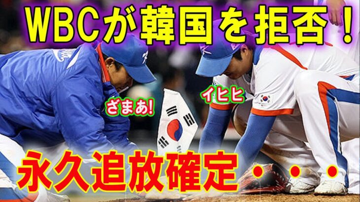 WBCが韓国を拒否！とうとう永久追放か⁉