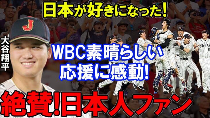 【大谷翔平】WBC日本人の応援に感動!海外から絶賛感動感謝された日本人ファンのおもてなし【海外の反応】