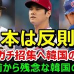 韓国がWBCで日本が大谷·ダルビッシュ·鈴木等を集め卑怯、一方、韓国がノースフェイス好きな本当の理由がコチラ