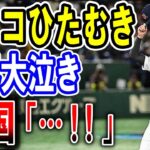 【海外の反応】WBC・隣国だけ逆反応？侍ジャパン!!世界が大泣き!!日本に敬意を持って挑んだチェコのひたむきな勇姿と大谷選手がチェコに示した最大限の敬意【ゆっくり解説】