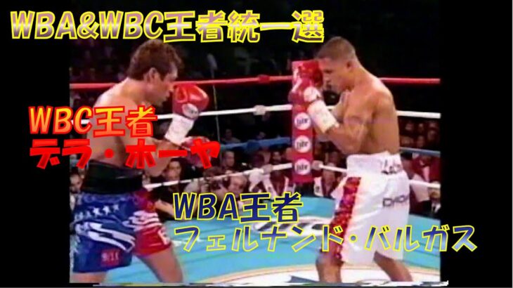 【因縁のある王者同士の統一戦】WBC王者 オスカー・デラ・ホーヤ vs. WBA王者フェルナンド・バルガス🥊　日本語解説　Oscar De La Hoya vs. Fernando Vargas