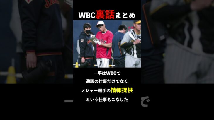 WBC裏話まとめ通訳一平さん編#shorts #大谷翔平 #wbc