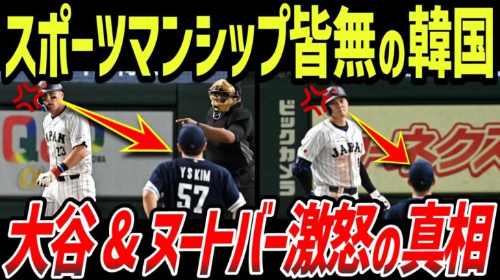 【海外の反応】WBCでデッドボールの際の対応が日本と韓国で違いすぎる!!世界「これが民度の差だなww」【ゆっくり解説】