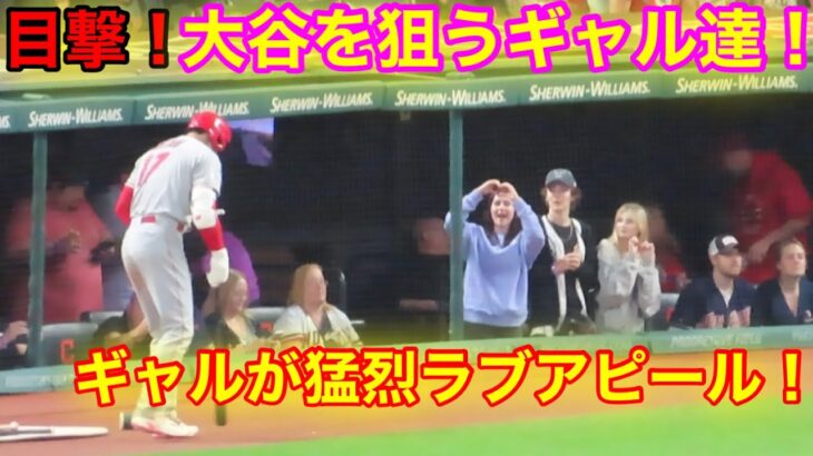 目撃！大谷の目の前でギャルが猛烈アピール！大谷へのラブコールは届くのか！【現地映像】