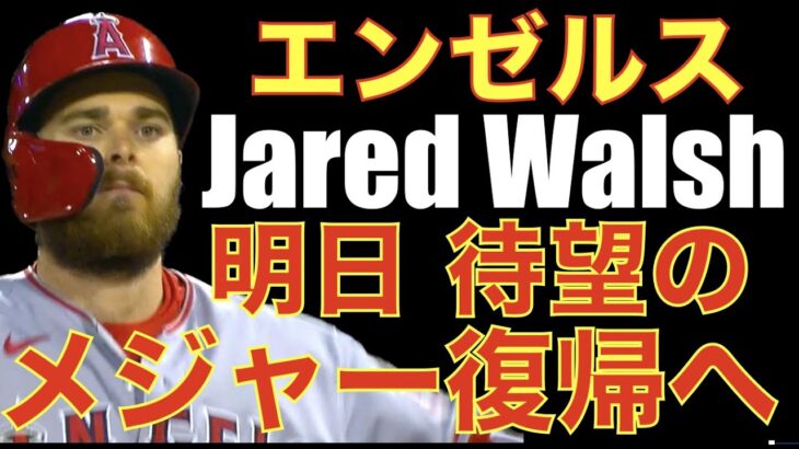 エンゼルス ウォルシュが待望のメジャー復帰へ‼️ 今日からツインズ戦 デトマーズ好投も６回２アウトから同点にされ７回に勝ち越されるも そこから逆転して勝利👏 モニアック大活躍でどうするペリ康⁉️