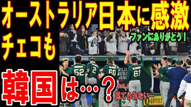 【海外の反応】【ＷＢＣ】感動！オーストラリアとチェコは分かってくれた！オーストラリアの感激の声が止まらない「日本の皆さんが受け入れてくれた！ありがとう、日本！」東京ドームに集まった観客の声援が話題に