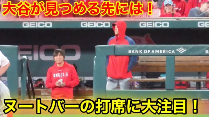 ヌートバーの打席に大注目の大谷！【現地映像】