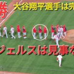 大谷翔平選手は明日の登板に向けて完全休養⚾️エンジェルスは見事な勝利で連勝‼️