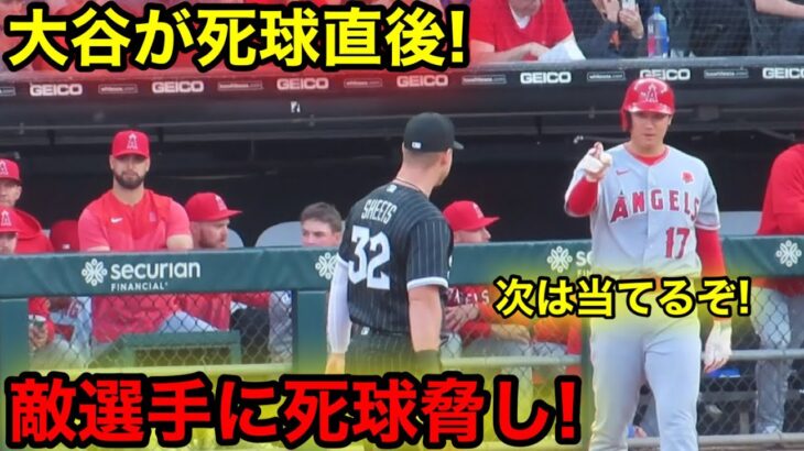 「大谷が脅威！」死球直後にゲビンへの死球宣言！【現地映像】