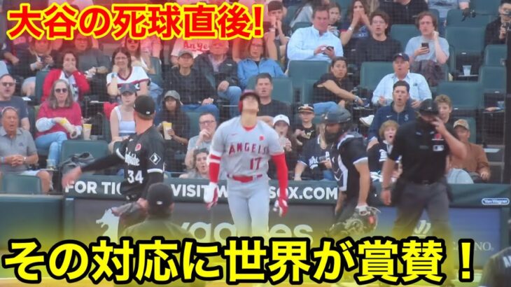 大谷が衝撃の死球！その後の対応に世界が仰天！【現地映像】