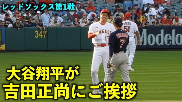 一礼姿がカッコいい！大谷翔平が吉田正尚にご挨拶【現地映像】エンゼルスvsレッドソックス第1戦5/23