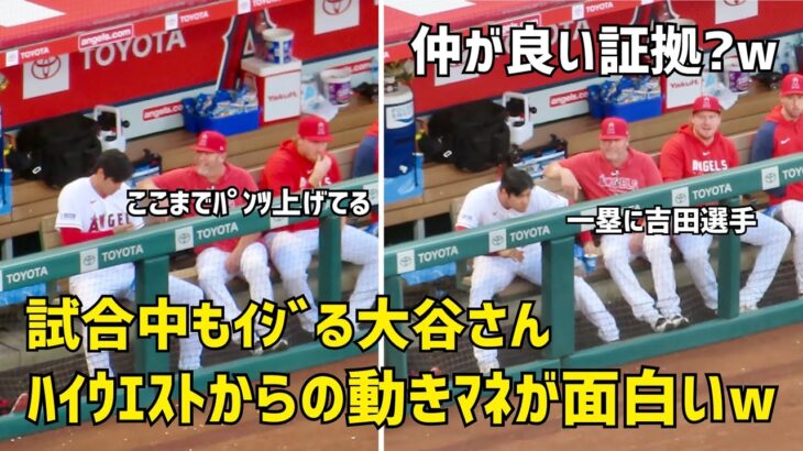 挨拶後だけじゃなかった  試合中も吉田さんマネする大谷さんが面白すぎるw  エンゼルス Angels  大谷翔平 Shohei Ohtani 現地映像