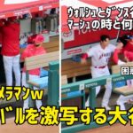 大谷カメラマンw  サンドバルを激写する大谷さん  エンゼルス Angels  大谷翔平 Shohei Ohtani 現地映像