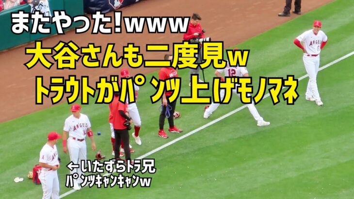 またやった！w  トラウトが大谷さんに向けてハイウエストをモノマネ！ エンゼルス Angels  大谷翔平 Shohei Ohtani 現地映像