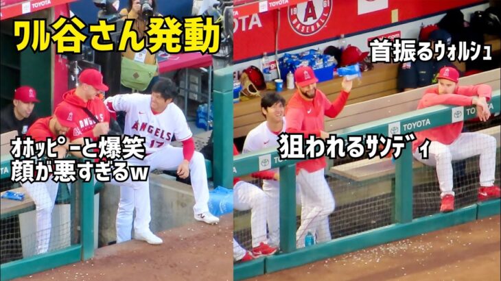 ワル谷さん発動 色々イジる大谷さんw  エンゼルス Angels  大谷翔平 Shohei Ohtani 現地映像