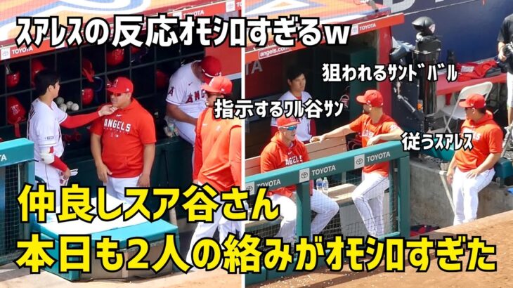 スアレスの反応おもしろすぎるw  本日も仲良しスアレスと大谷さん エンゼルス Angels  大谷翔平 Shohei Ohtani 現地映像