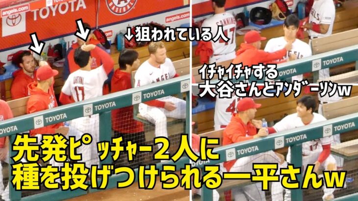 イチャイチャw アンダーソンと大谷さん 一緒にイタズラもしてしまうw  エンゼルス Angels  大谷翔平 Shohei Ohtani 現地映像