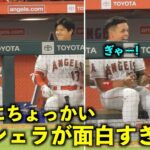 叫びまくるw ウルシェラのちょっかいから始まった大谷との絡みが面白すぎるw【現地映像】エンゼルスvsツインズ第1戦5/20