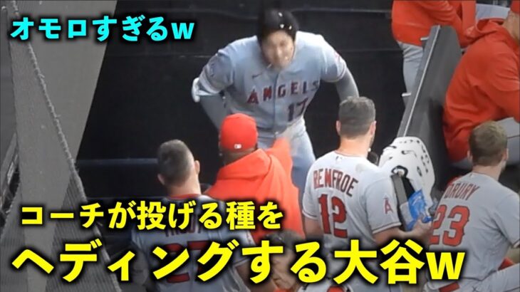 オモロすぎるw 大谷翔平 コーチが投げるひまわりの種をヘディングw【現地映像】エンゼルスvsホワイトソックス第2戦5/31