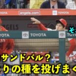 サンドバル？に合計５発！ひまわりの種を投げまくる大谷翔平w【現地映像】エンゼルスvsレッドソックス第3戦5/26