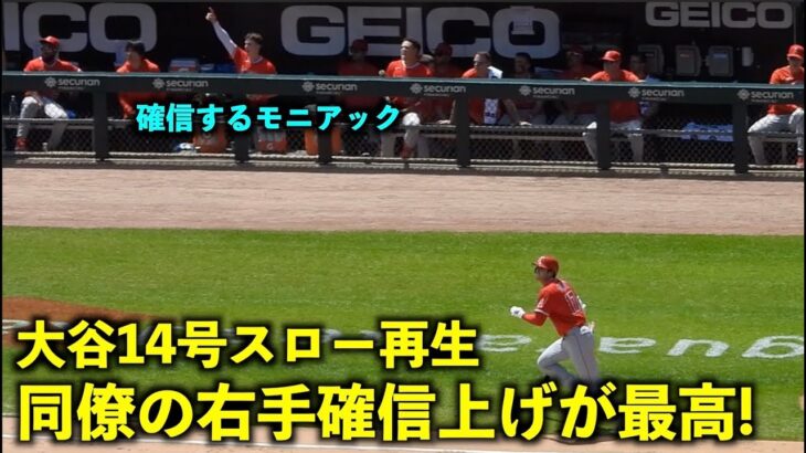 確信拳上げ！ベンチの反応が最高すぎる！大谷翔平 14号２ランをスロー再生【現地映像】エンゼルスvsホワイトソックス第3戦6/1