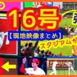 【大谷翔平 弾丸16号 反撃の狼煙弾！現地映像まとめ】鈴木誠也がジャンプ一番あわや本塁打キャッチ！あっぶなぁ…その後の大谷と誠也のやりとりが面白いｗｗ