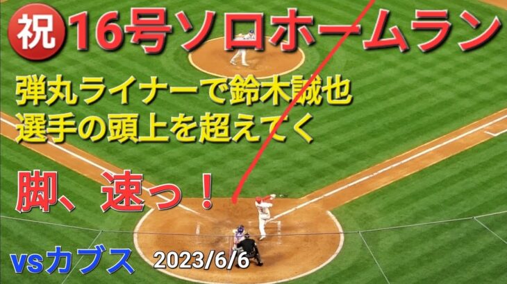 ㊗️16号ソロホームラン【大谷翔平選手】弾丸ライナーで鈴木誠也選手の頭上を超えてのホームラン