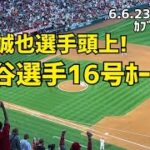 速報 大谷選手 16号ホームラン！ 鈴木誠也選手頭上本塁打！ 現地映像  Angels エンゼルス Shohei Ohtani 大谷翔平 本塁打