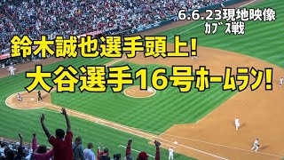 速報 大谷選手 16号ホームラン！ 鈴木誠也選手頭上本塁打！ 現地映像  Angels エンゼルス Shohei Ohtani 大谷翔平 本塁打