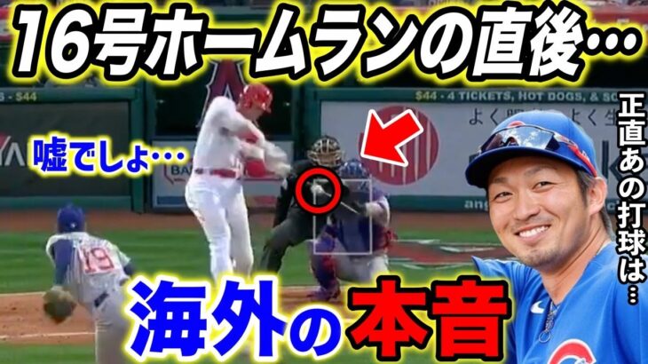 【大谷翔平】目を疑う異色の16号弾に米唖然…ホームラン直後に鈴木誠也と見せた”ある行動”にネット歓喜！白熱するMVP＆HR王争いが衝撃の展開に…【海外の反応/MLB】