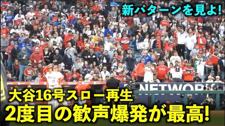 スタンドイン判定の瞬間が最高すぎる！大谷翔平 16号ホームランをスロー再生【現地映像】エンゼルスvsカブス第1戦6/7