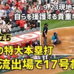 ファン総立ち！自らを援護する貴重な同点弾！大谷選手 17号ホームラン 二刀流出場で特大本塁打 現地映像 Angels エンゼルス Shohei Ohtani 大谷翔平