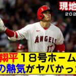 【現地映像まとめ】大谷翔平の18号ホームランを現地映像で振り返り！ジャッジまであと１本！【エンゼルス】