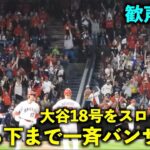 大谷翔平の18号２ランをスロー再生したら上から下までの一斉バンザイが最高すぎた！【現地映像】エンゼルスvsマリナーズ第2戦6/11