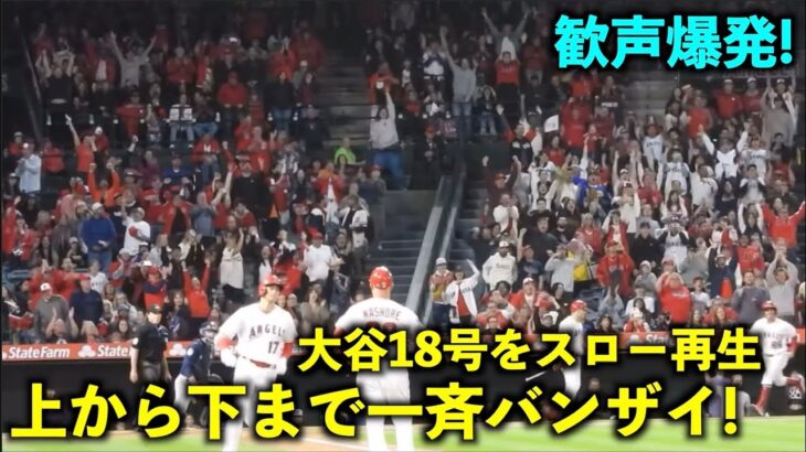 大谷翔平の18号２ランをスロー再生したら上から下までの一斉バンザイが最高すぎた！【現地映像】エンゼルスvsマリナーズ第2戦6/11