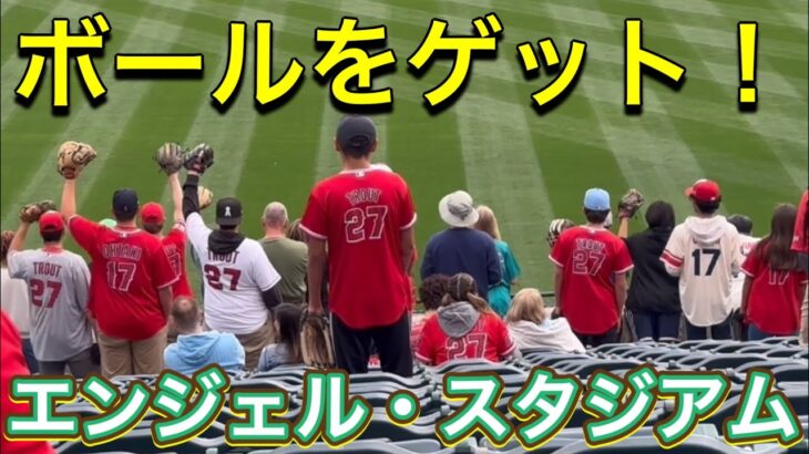 【ボールをゲット！】エンジェル・スタジアム【2番ピッチャー・大谷翔平選手】対シアトル・マリナーズ第1戦@エンジェル・スタジアム6/9/2023 #大谷翔平  #ohtani  #エンジェルス