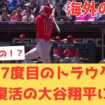 【海外の反応】大谷翔平2試合連続&2打席連続ホームラン！27度目のトラウタニ弾でGOATの完全復活に歓喜するエンゼルスファンの反応【大谷翔平 エンゼルス ホワイトソックス】