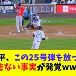 大谷翔平、この25号弾を放った瞬間とんでもない事実が発覚wwwwww【なんJ反応】