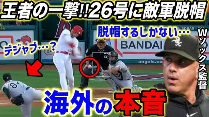 【大谷翔平】虫も驚愕！キング独走26号に敵軍もお手上げ…「脱帽するしかない」”大谷を休ませろ”論に対してネビン監督が衝撃の一言【海外の反応】