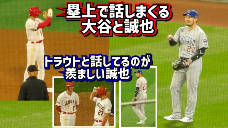 大谷とトラウトの関係が羨ましい誠也がガン見😂遠隔からも話す仲良しな2人【現地映像】6/6vsカブス ShoheiOhtani Angels