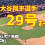 速報！大谷選手 29号ホームラン！ トラウトと一緒に見せた希望の本塁打  現地映像 Angels エンゼルス Shohei Ohtani 大谷翔平