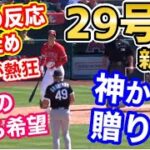 大谷翔平、新記録更新の29号2ランホームランへの海外の反応まとめ！世界に衝撃「今日は久しぶりに人間に戻ったと思ったらオオタニはやっぱり神だった」