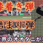 『大谷翔平 伝説の日本凱旋試合で見せた2HR +ヒーローインタビュー』膝着きホームラン+詰まりながらセンターへのホームラン 侍ジャパン強化試合 阪神タイガース戦