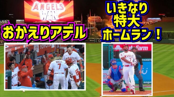 おかえりアデル‼️いきなり特大ホームランでエンゼルス勝利 カブスをスイープで4連勝🙌 【現地映像】6/8vsカブス ShoheiOhtani Angels