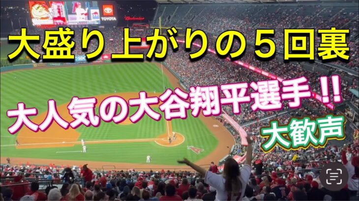 【大歓声！】大盛り上がりの5回裏！大人気の大谷翔平選手【2番DH・大谷翔平選手】対シアトル・マリナーズ第2戦@エンジェル・スタジアム6/10/2023 #大谷翔平  #ohtani  #エンジェルス