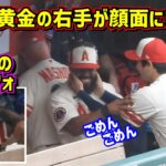 大谷の右手がレンヒフォの顔面直撃‼️謝りまくる大谷とその後のレンヒフォ【現地映像】6/11vsマリナーズShoheiOhtani Angels