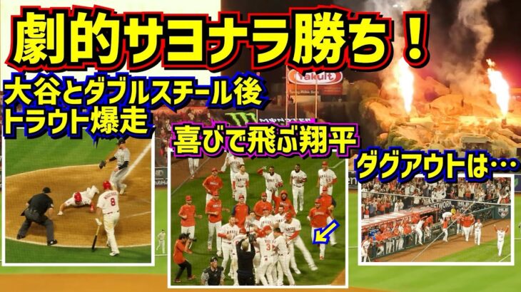 劇的‼️サヨナラ勝ち🙌大谷とトラウトのダブルスチールで大盛り上がり【現地映像】6/26vsホワイトソックスShoheiOhtani