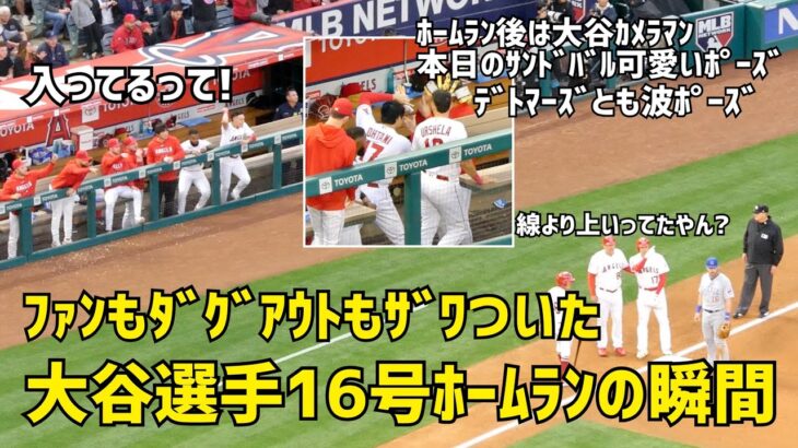 ファンもダグアウトもザワついた 大谷選手爆走 １６号ホームランの瞬間  エンゼルス Angels  大谷翔平 Shohei Ohtani 現地映像